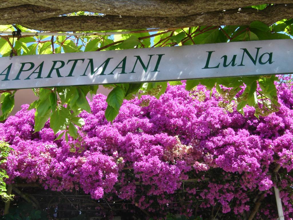 Apartmani Luna Хвар Экстерьер фото